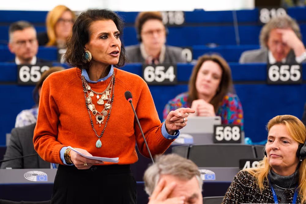 EP Plenary session - International Day for the Elimination of the Violence against Women
