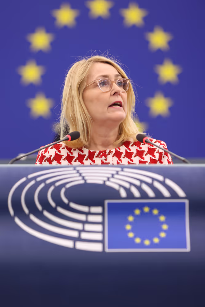 EP Plenary session - Protection of minors online