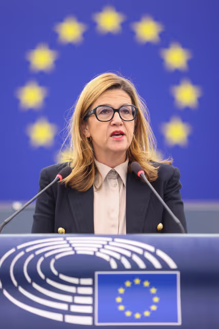 Foto 29: EP Plenary session - Protection of minors online