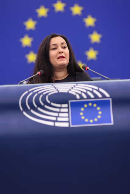 Foto 25: EP Plenary session - Protection of minors online