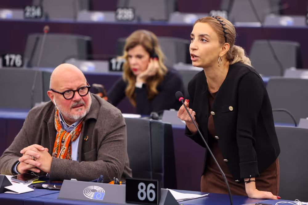 EP Plenary session - Protection of minors online