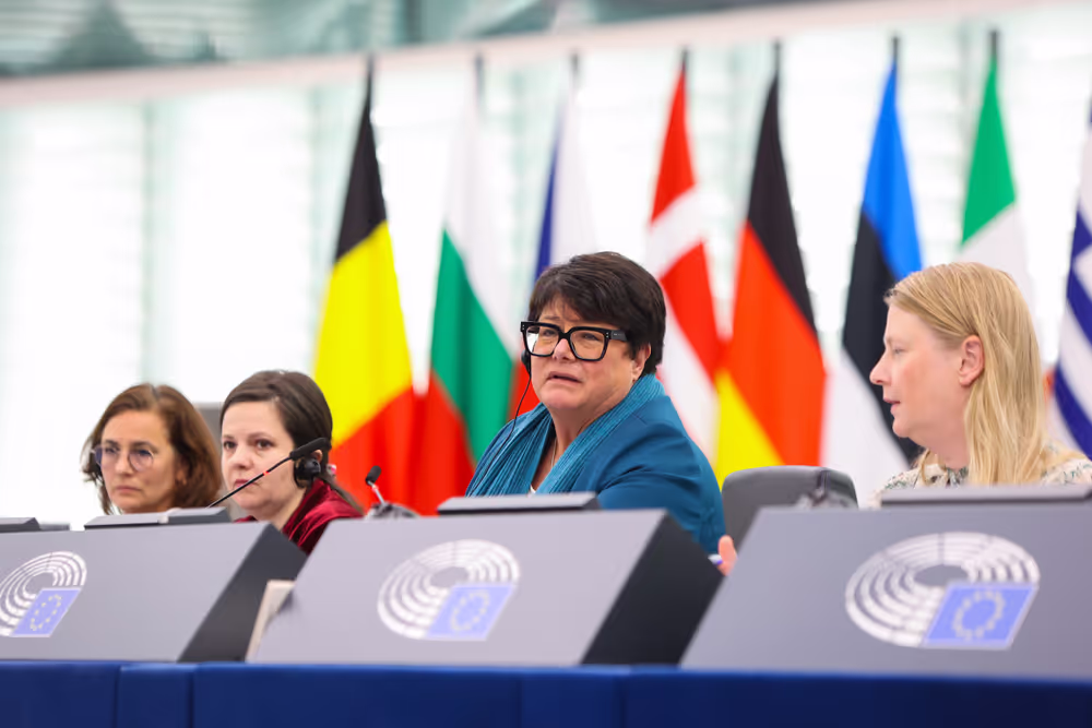 EP Plenary session - Protection of minors online