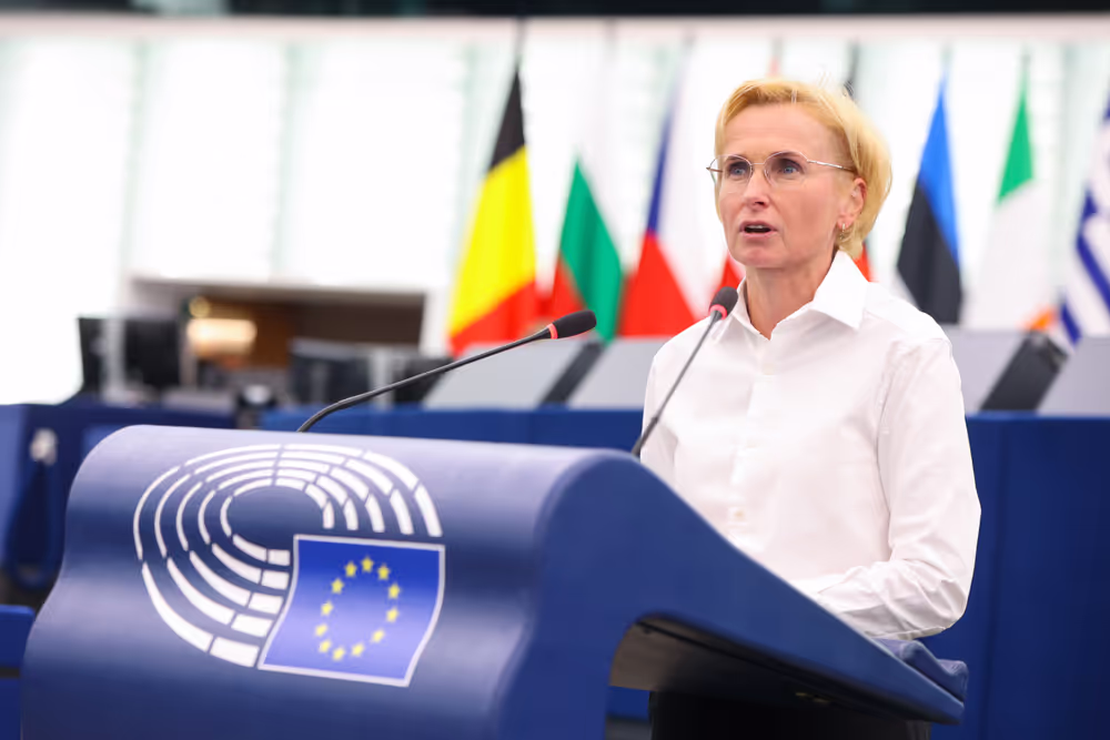 EP Plenary session - Protection of minors online