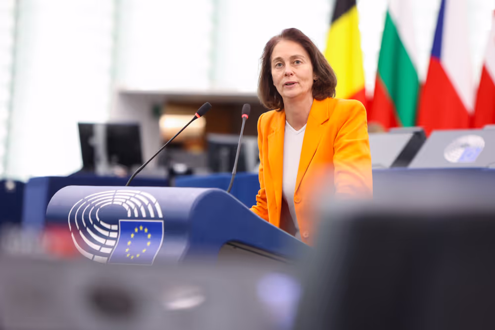 EP Plenary session - Protection of minors online