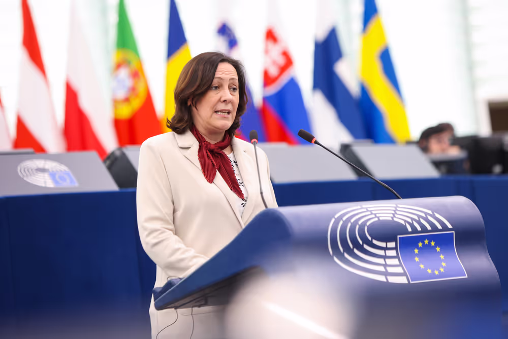 EP Plenary session - Protection of minors online