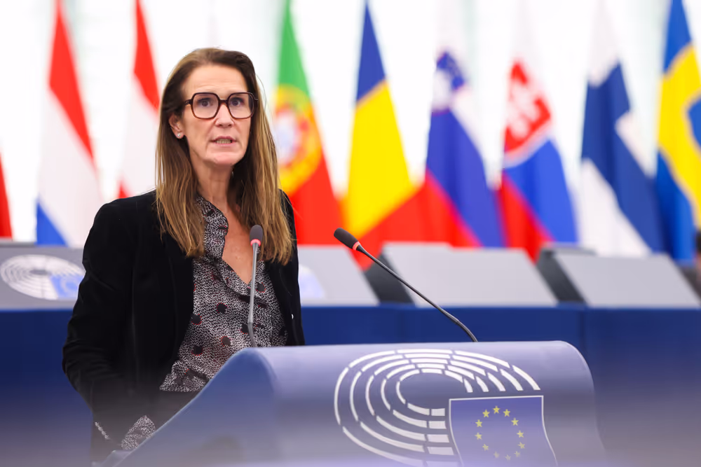 EP Plenary session - Protection of minors online