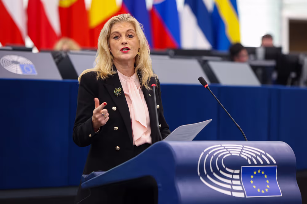 EP Plenary session - Protection of minors online