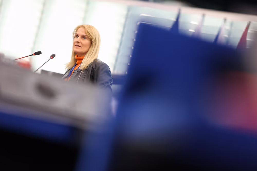 EP Plenary session - Protection of minors online