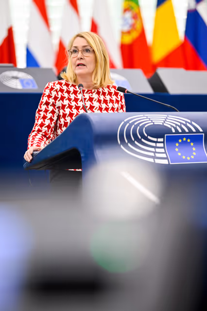 Photo 16: EP Plenary session - Protection of minors online