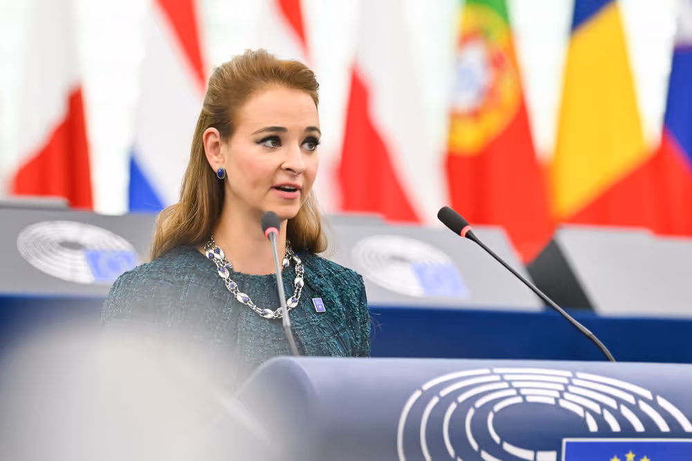 EP Plenary session - EU’s diplomatic strategy and geopolitical cooperation in the Arctic