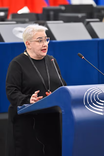 EP Plenary session - EU’s diplomatic strategy and geopolitical cooperation in the Arctic