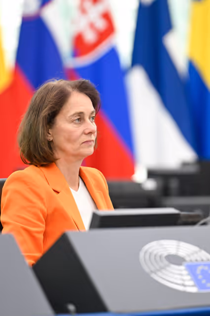 Valokuva 33: EP Plenary session - EU’s diplomatic strategy and geopolitical cooperation in the Arctic