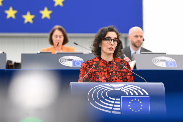 Valokuva 31: EP Plenary session - EU’s diplomatic strategy and geopolitical cooperation in the Arctic