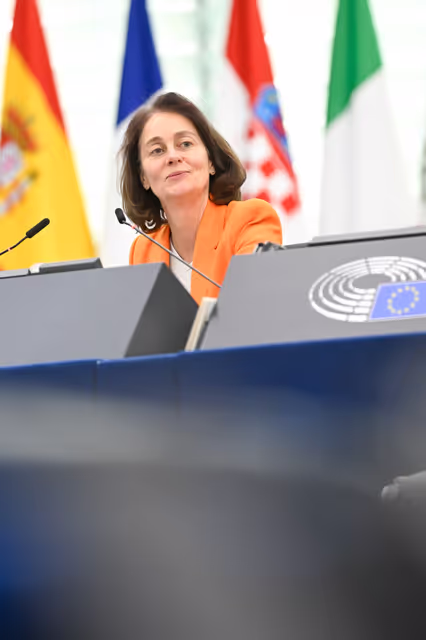 Valokuva 10: EP Plenary session - EU’s diplomatic strategy and geopolitical cooperation in the Arctic