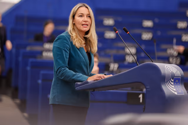 EP Plenary session - Effective use of the EU trade and industrial policy to tackle China’s export restrictions