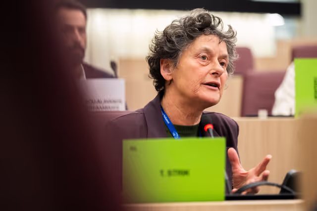 Delegation for relations with Palestine (DPAL) - Exchange of views with Francesca Albanese, UN Special Rapporteur on the occupied Palestinian territories