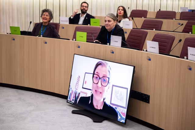 Delegation for relations with Palestine (DPAL) - Exchange of views with Francesca Albanese, UN Special Rapporteur on the occupied Palestinian territories