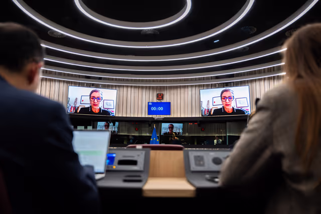 Delegation for relations with Palestine (DPAL) - Exchange of views with Francesca Albanese, UN Special Rapporteur on the occupied Palestinian territories