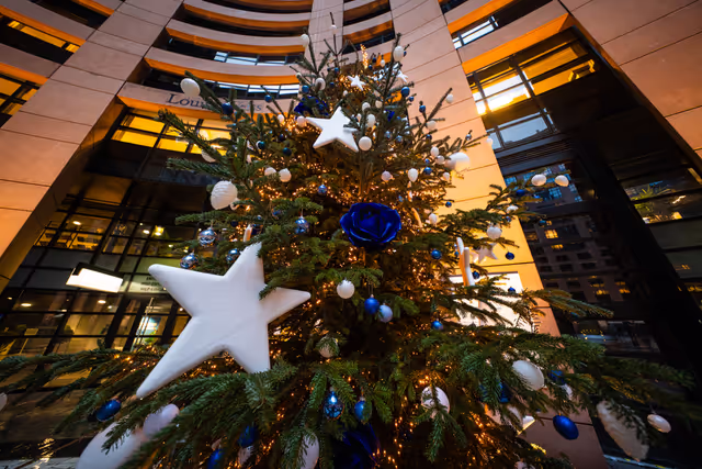 Strasbourg's Plenary session through the lens - Week 48