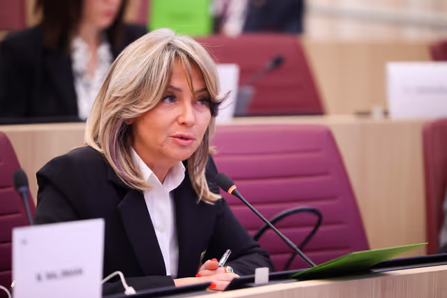 EU-North Macedonia Joint Parliamentary Committee meeting