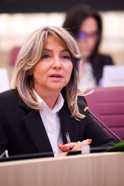 EU-North Macedonia Joint Parliamentary Committee meeting