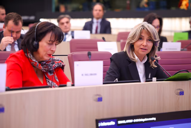 EU-North Macedonia Joint Parliamentary Committee meeting