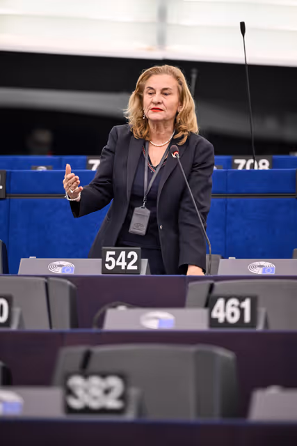 EP Plenary session - EU strategy for the rights of persons with disabilities post-2024
