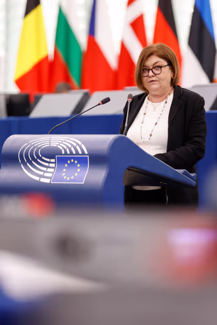 EP Plenary session - Joint debate - Defence of Democracy package