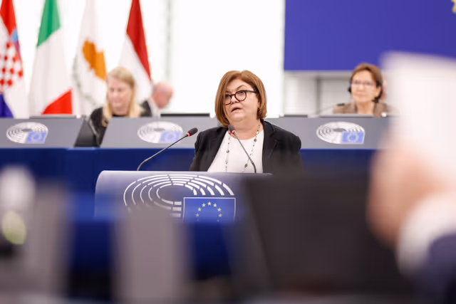 EP Plenary session - Joint debate - Defence of Democracy package