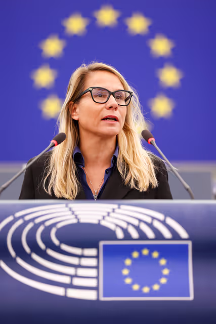 EP Plenary session - Joint debate - Defence of Democracy package