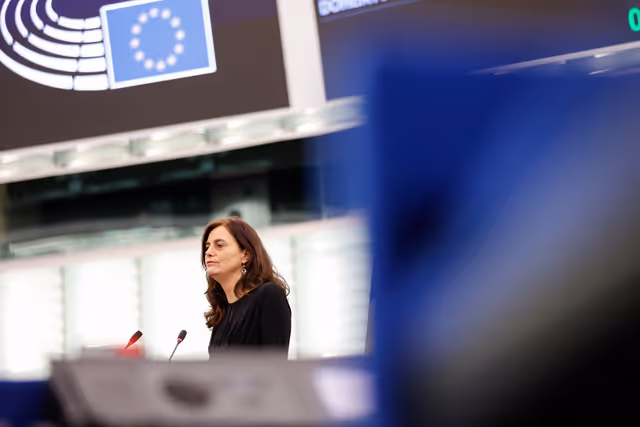 EP Plenary session - Joint debate - Defence of Democracy package