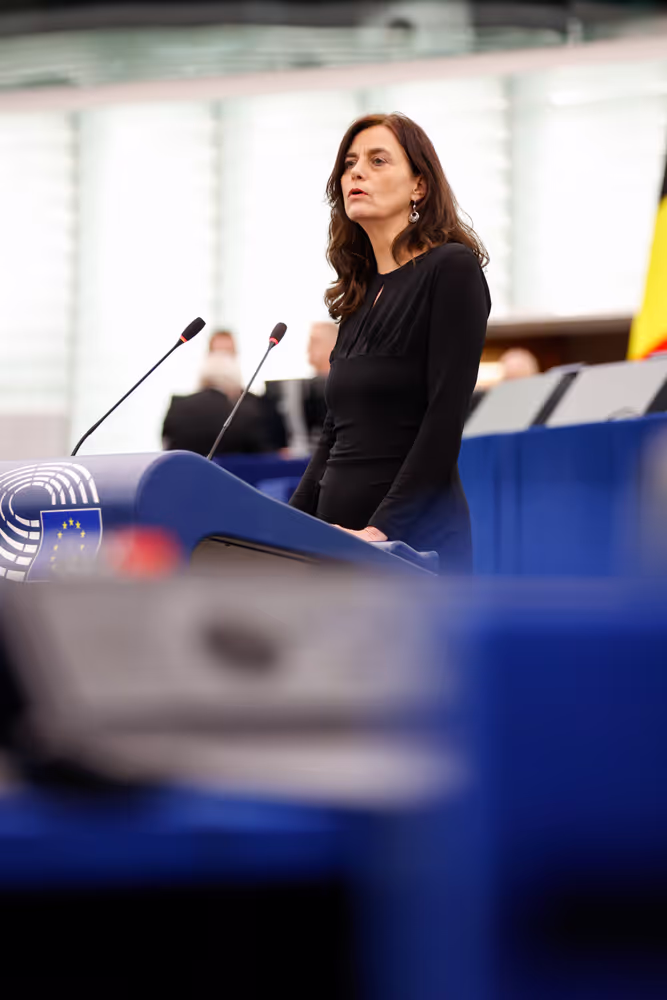 EP Plenary session - Joint debate - Defence of Democracy package