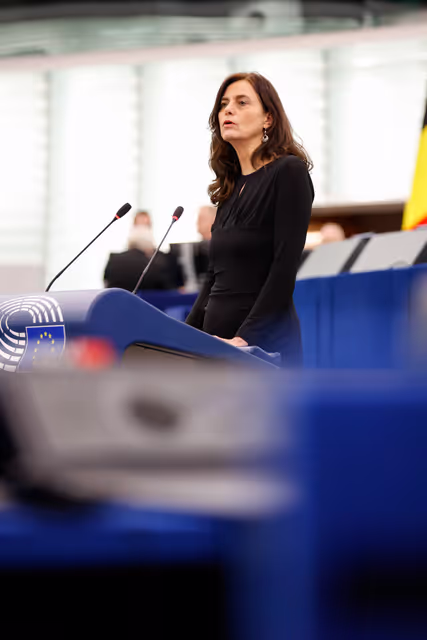 EP Plenary session - Joint debate - Defence of Democracy package