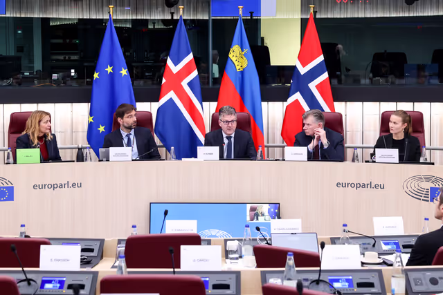64th meeting of The European Economic Area (EEA) Joint Parliamentary Committee (JPC)