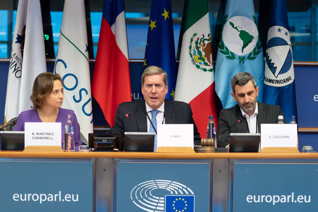 Photo 28 : EuroLat - Joint opening session of the four standing committees