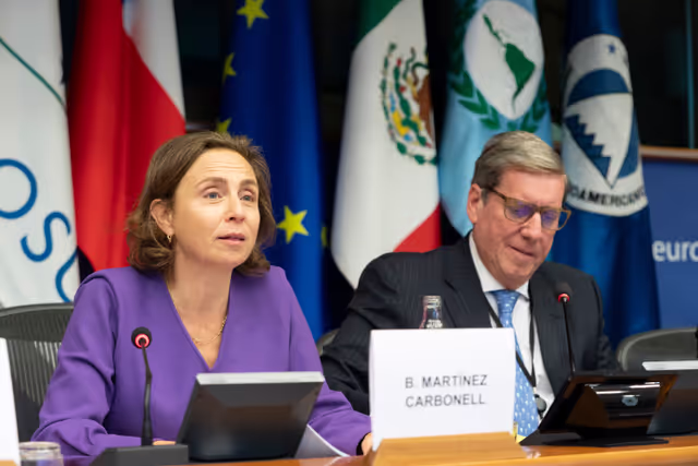 Photo 25 : EuroLat - Joint opening session of the four standing committees