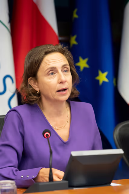 Photo 26 : EuroLat - Joint opening session of the four standing committees