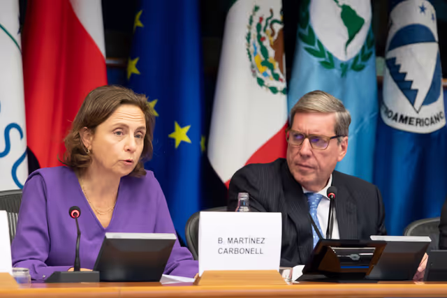 Photo 22 : EuroLat - Joint opening session of the four standing committees