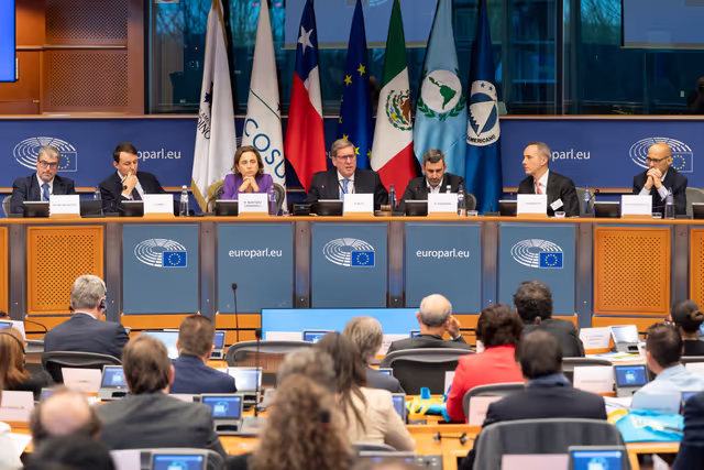 Photo 17 : EuroLat - Joint opening session of the four standing committees