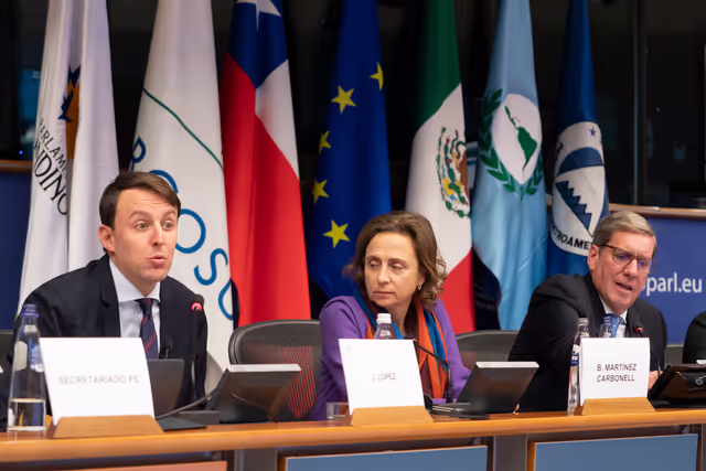 Photo 11 : EuroLat - Joint opening session of the four standing committees