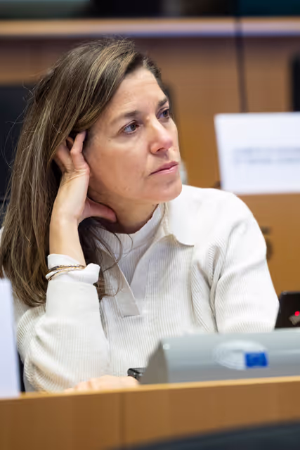 Fotografie 15: EMPL HOUS - Public Hearing ' Inclusive Housing for All: Accessibility, Disability Rights, Vulnerable Groups and social inclusion in EU Housing Policy '