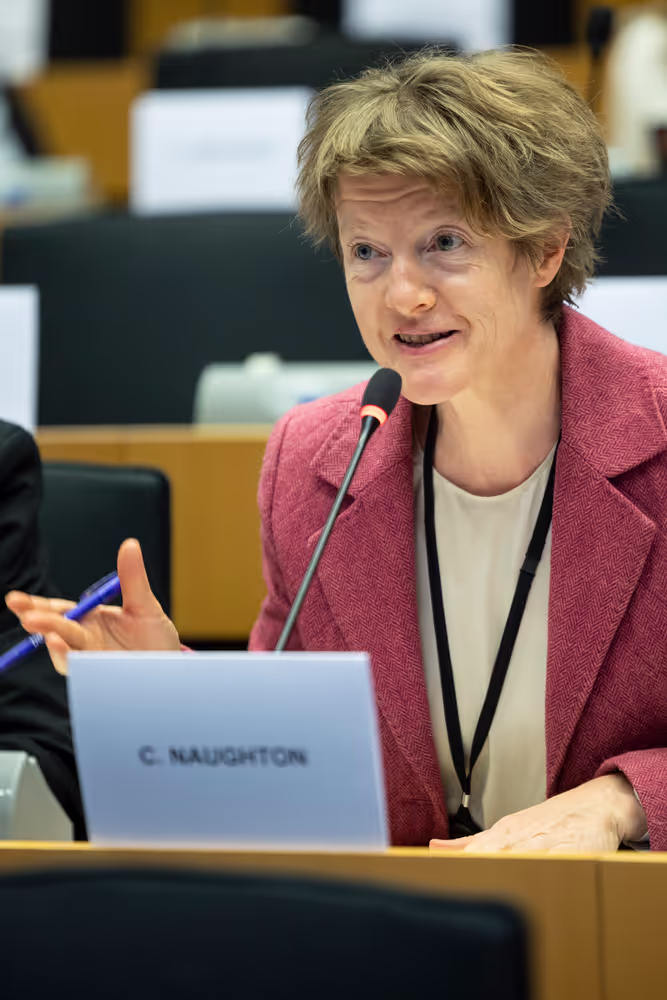 EMPL HOUS - Public Hearing ' Inclusive Housing for All: Accessibility, Disability Rights, Vulnerable Groups and social inclusion in EU Housing Policy '