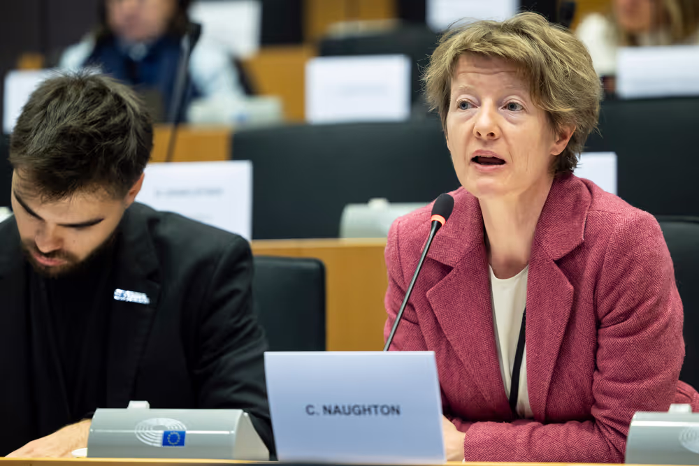 EMPL HOUS - Public Hearing ' Inclusive Housing for All: Accessibility, Disability Rights, Vulnerable Groups and social inclusion in EU Housing Policy '