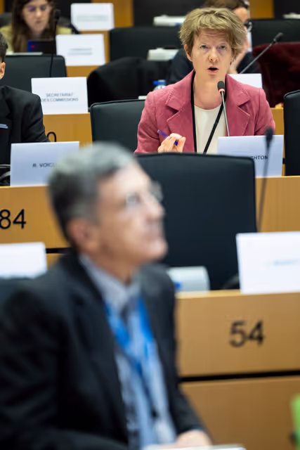 Fotografie 10: EMPL HOUS - Public Hearing ' Inclusive Housing for All: Accessibility, Disability Rights, Vulnerable Groups and social inclusion in EU Housing Policy '