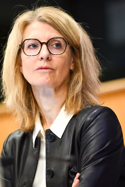 Fotografi 16: INTA - Trade Policy and Strategic Autonomy