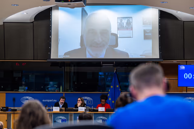 Снимка 8: CULT - Public hearing on Implementation of the European Media Freedom Act