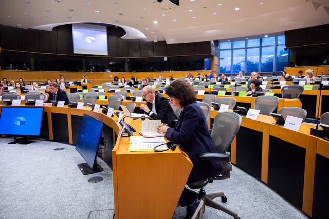 Снимка 4: CULT - Public hearing on Implementation of the European Media Freedom Act