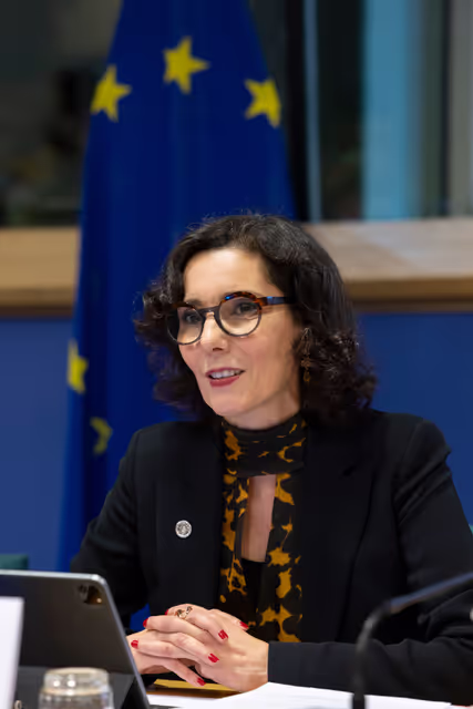 Photo 21: DEVE - Exchange of views with Commissioner Lahbib on the forthcoming Communication on Humanitarian Aid