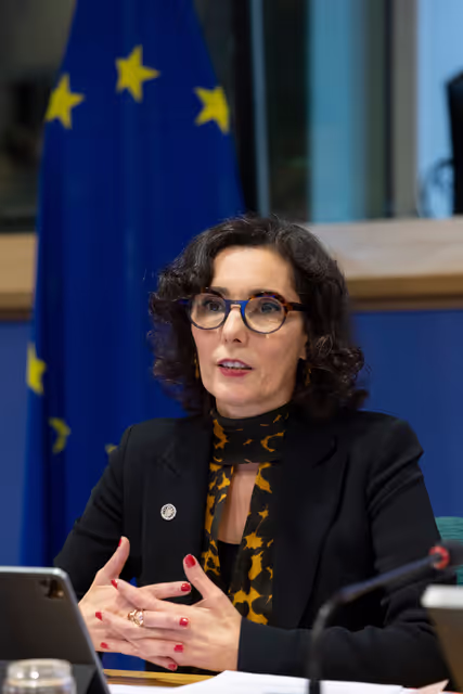 Photo 22: DEVE - Exchange of views with Commissioner Lahbib on the forthcoming Communication on Humanitarian Aid