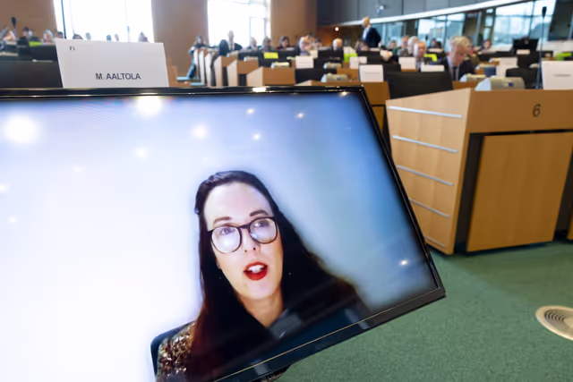 AFET EUDS joint meeting - Public hearing on democratic resilience and countering disinformation – the case of the Western Balkans